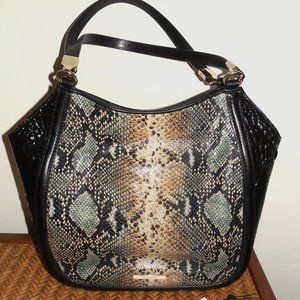 🎈Brahmin Marianna Serpentine Patchouli